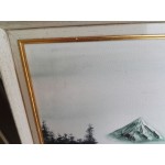 Средна картина масло на платно от Испания с хубава рамка - 3583