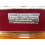 Рекламна картина на базиликата в град Саламанка, Испания - 3975