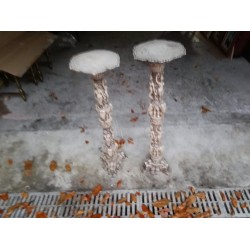 Двойка индийски колони от алабастър и рисувани шапки - 4223