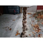 Двойка индийски колони от алабастър и рисувани шапки - 4223