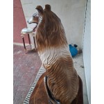 Голямо порцеланово куче Испания - 7035