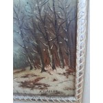 Средна картина масло на фазер Испания, уникална рамка - 6569