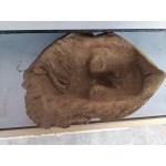 Венецианска маска за стена от Италия, смола в цвят старо злато - 4660