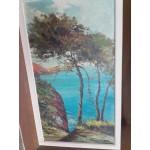 Малка автоска маслена картина върху фазер от Испания, специфична рамка - 3430